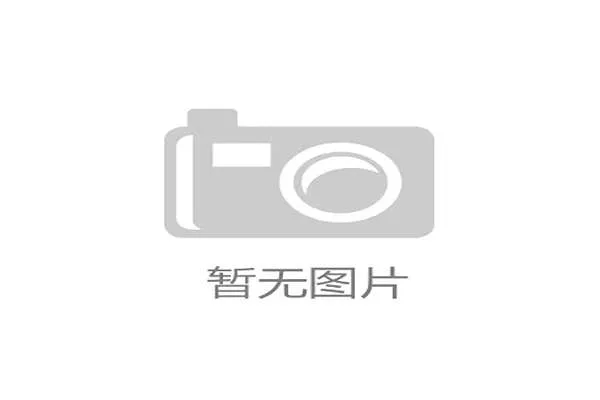2026年突尼斯队世界杯阵容预测及核心球员全面盘点