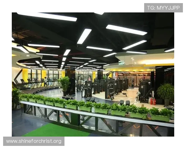 凯发体育官方合作伙伴共同打造优质的体育娱乐生态系统 凯发体育官方合作伙伴共同打造优质的体育娱乐生态系统