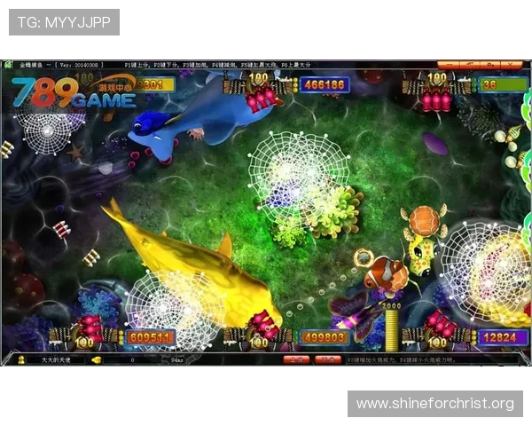 凯发金鲨银鲨：全面解析游戏玩法与赢取大奖的技巧